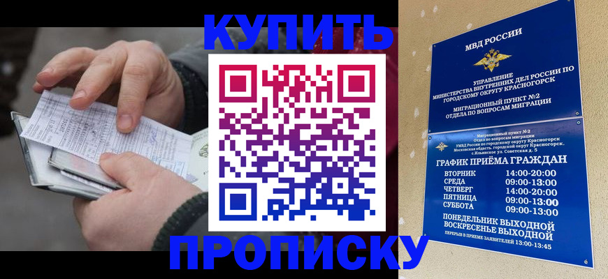 временная регистрация недорого в Галиче